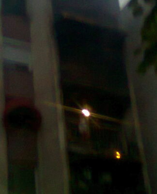 photo0782